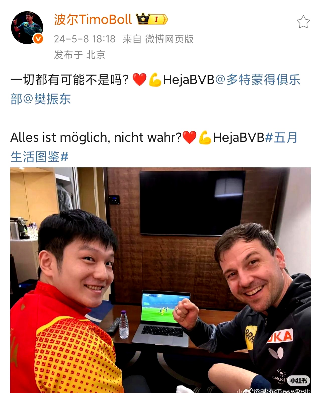 雷火电竞简介-关于奥地利乒乓球队轻取日本乒乓球队，波尔绝境逆转的信息