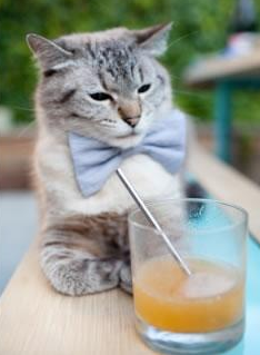 雷火电竞官网-齿轮与闪电，当西班牙洪流遇见布鲁诺时刻