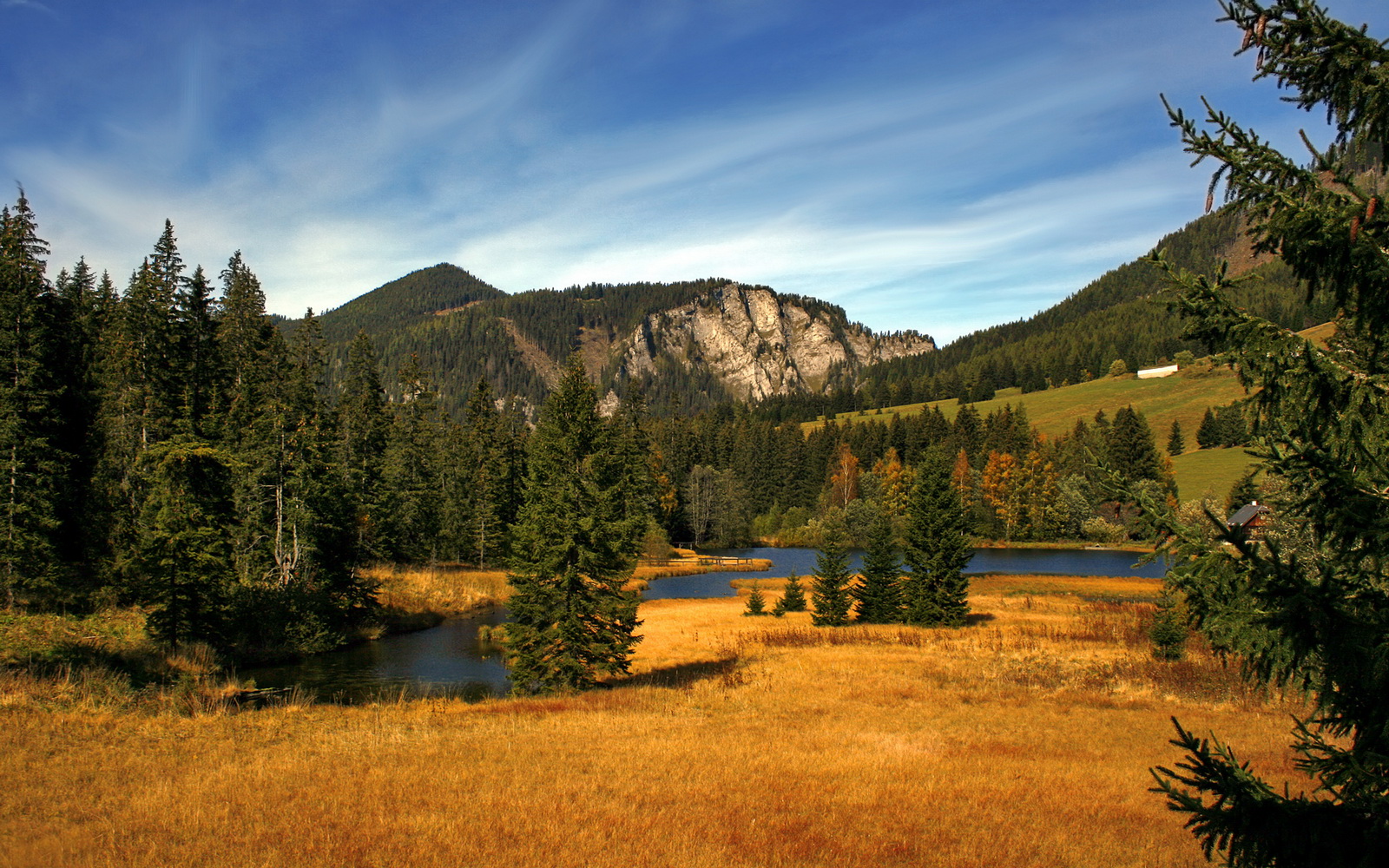 当战神离去后，福登与那场不属于他国家的战争